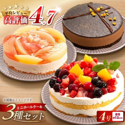 フルーツ/チョコムース/レアチーズ ホールケーキ 3種 冷凍[AQD017]