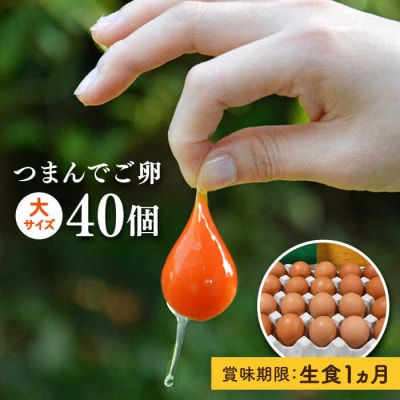 【プリップリな卵黄!】つまんでご卵 40個セット 鶏卵 たまご 糸島/緑の農園 [AGA011]
