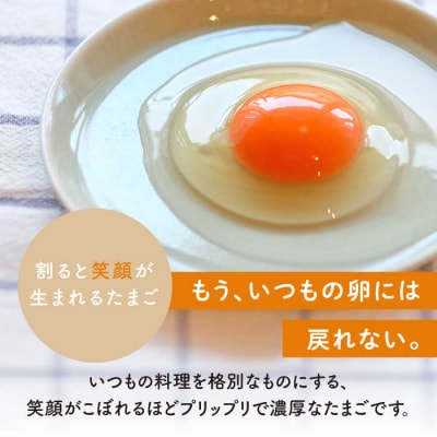 【プリップリな卵黄!】つまんでご卵 40個セット 鶏卵 たまご 糸島/緑の農園 [AGA011]