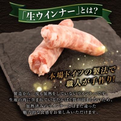 生ウインナー 7種48本+生ハム 45g 詰め合わせセット /糸島手造りハム [AAC005]