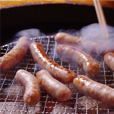 生ウインナー 7種48本+生ハム 45g 詰め合わせセット /糸島手造りハム [AAC005]