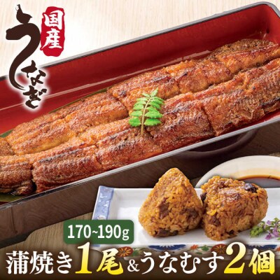 蒲焼き 1尾/うなむす 2個セット 北ノ屋うなぎ [ACL006] 鰻 かばやき