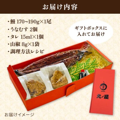 【年内発送】蒲焼き 1尾/うなむす 2個セット 北ノ屋うなぎ [ACL006] 鰻 かばやき