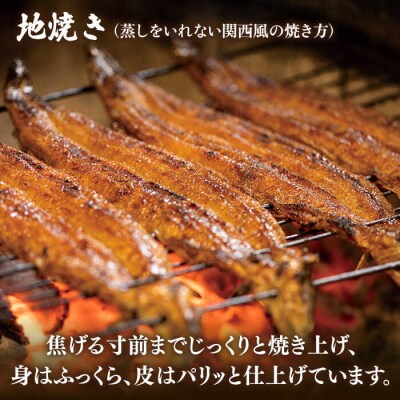 【年内発送】うなむす 8個 北ノ屋うなぎ [ACL007] うなぎ おにぎり 冷凍