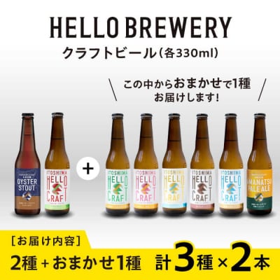 【3種 飲み比べ】糸島 クラフト ビール 瓶 詰め合わせ 6本セット [AGM001]