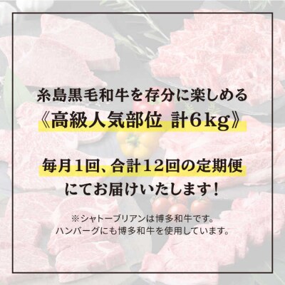 【全12回定期便】 糸島 黒毛和牛 食べ比べセット 2人前 約 6 kg【月1回】 [ACA111]