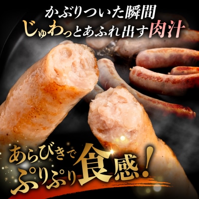 生ウインナー30本+生ハムセット 糸島/糸島手造りハム [AAC004] ソーセージ