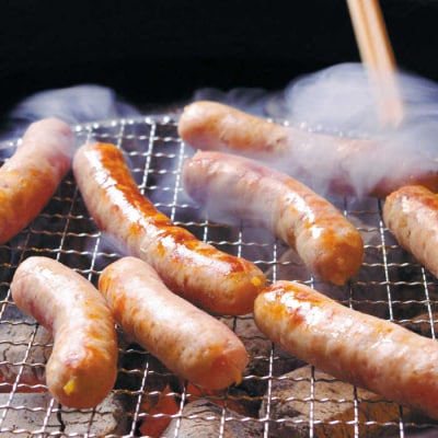 生ウインナー30本+生ハムセット 糸島/糸島手造りハム [AAC004]