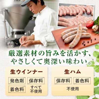 生ウインナー30本+生ハムセット 糸島/糸島手造りハム [AAC004]