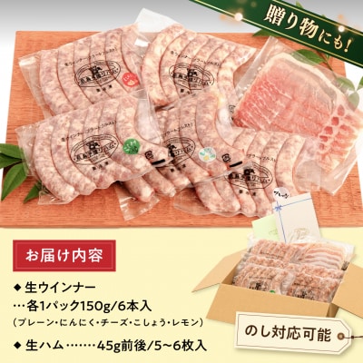 生ウインナー30本+生ハムセット 糸島/糸島手造りハム [AAC004] ソーセージ