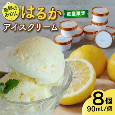 【限定 25セット!】 はるか みかん アイス クリーム 8個セット [AGI001]