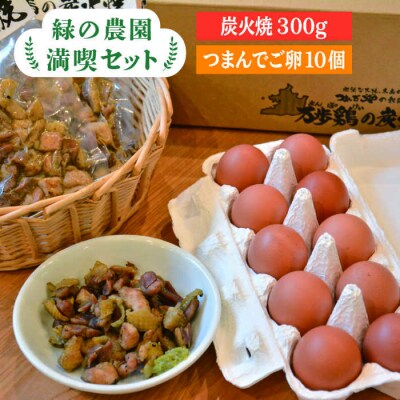 《 鶏の炭火焼とブランド 卵 のセット》緑の農園 満喫セット【緑の農園】 [AGA020]