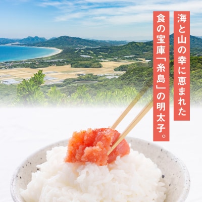 【訳あり】【リピーター続出!高評価!】辛子明太子 切れ子 1kg やますえ [AKA038]