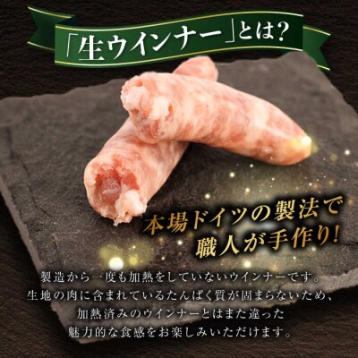 【全3回定期便】 生ウインナー 5種30本 + 生ハム 糸島/糸島手造りハム [AAC010]