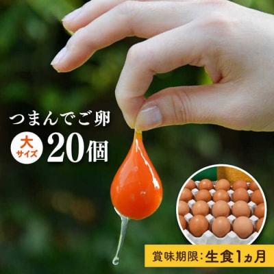 【プリップリな 卵黄 !】 つまんでご卵 20個セット 卵 たまご 糸島/緑の農園 [AGA008]