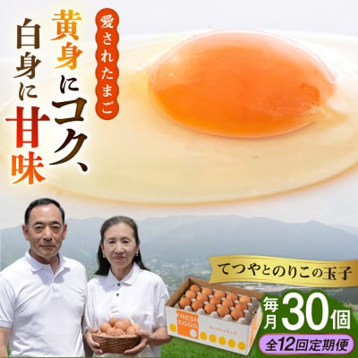 【全12回定期便】【30個×12ヶ月】黄身にコク!白身に甘み!てつやとのりこの玉子[AWD010]