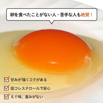 【全12回定期便】てつやとのりこの 玉子　30個 × 12ヶ月[AWD010]