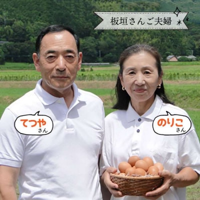 【全12回定期便】てつやとのりこの 玉子　30個 × 12ヶ月[AWD010]