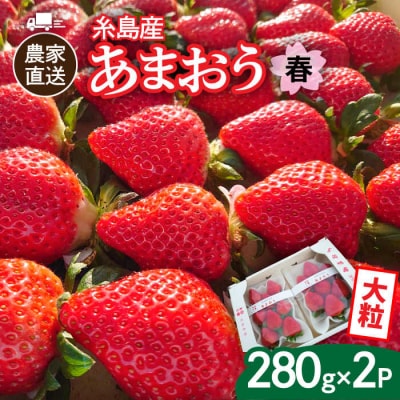 【農家直送!】糸島産あまおう 280g×2P (DXまたはGサイズ)[AML004]