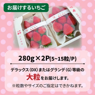 【農家直送 先行受付】糸島産 春あまおう280g × 2(DXまたはGサイズ) [AML004] 