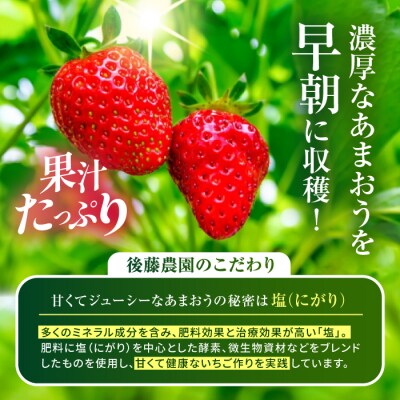 【農家直送 先行受付】糸島産 春あまおう280g × 2(DXまたはGサイズ) [AML004] 