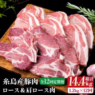 【全12回定期便】糸島産豚肉ロース肉6枚 肩ロースカツ5枚 合計11枚セット《糸島》[ACA231]