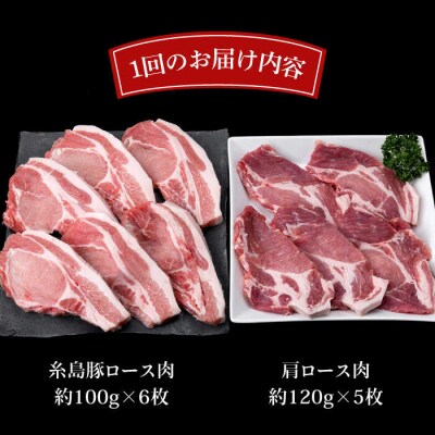 【全12回定期便】糸島豚ロース肉6枚 肩ロースカツ5枚 合計11枚セット《糸島》[ACA231]