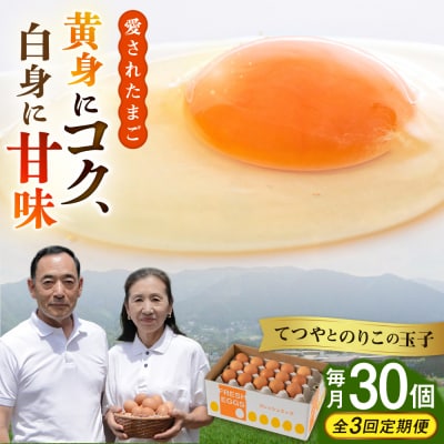 【全3回定期便】【30個×3ヶ月】黄身にコク!白身に甘み!てつやとのりこの玉子 [AWD006]