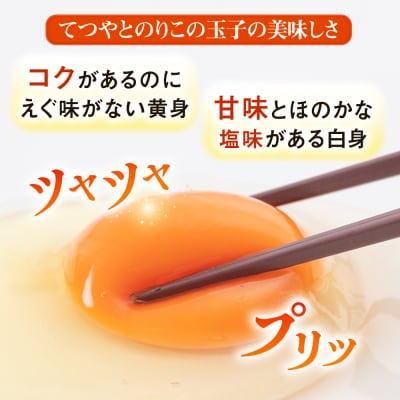 【全3回定期便】【30個×3ヶ月】黄身にコク!白身に甘み!てつやとのりこの玉子 [AWD006]