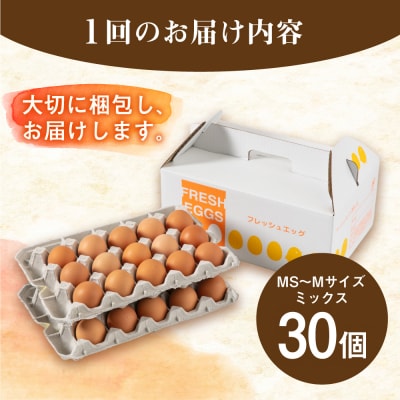 【全3回定期便】【30個×3ヶ月】黄身にコク!白身に甘み!てつやとのりこの玉子 [AWD006]