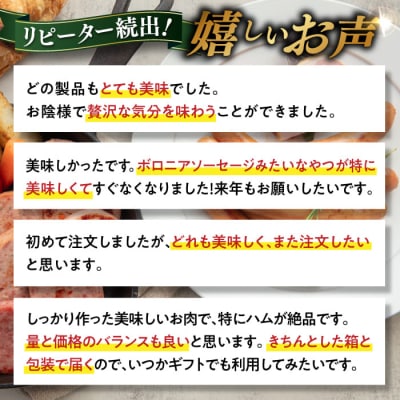 【全12回定期便】本場ドイツで連続金賞受賞!お試し食べきりセット【糸島手造りハム】[AAC021]