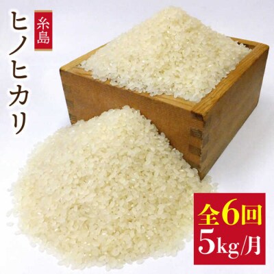 【全6回定期便】 ヒノヒカリ 5kg 福吉産 お米 栽培期間農薬不使用 糸島[ABB012]