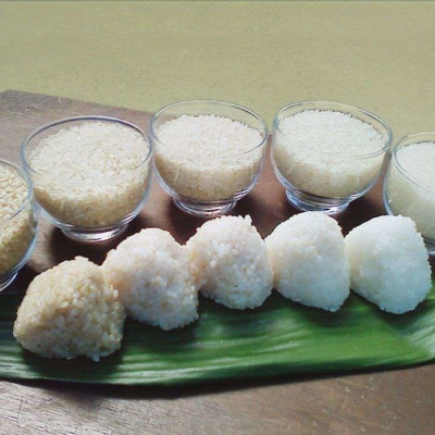 【全6回定期便】 ヒノヒカリ 5kg 福吉産 お米 栽培期間農薬不使用 糸島[ABB012]