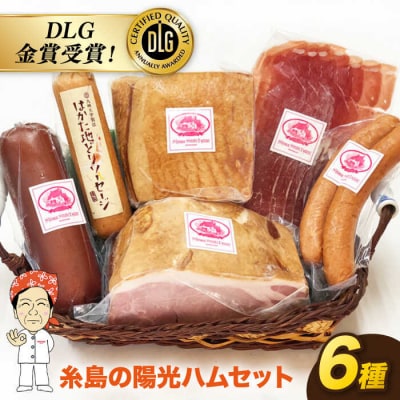 ＼DLG金賞受賞!/糸島の陽光 ハム 5種セット 3 /ハムソーセージ 食べ比べ [AOA003]