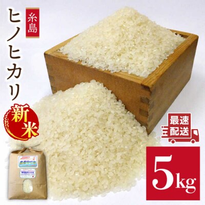 農薬使わない栽培 ! 糸島産ヒノヒカリ 5kg、 玄米食・分搗き対応![ABB005]