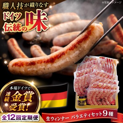 【全12回定期便】おすすめ ギフトセット (ハム/ソーセージ /ウインナー)[AAC015]