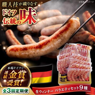 【全3回定期便】おすすめ ギフトセット (ハム/ ソーセージ/ ウインナー) [AAC013]