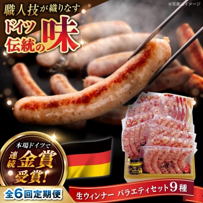 【全6回定期便】おすすめギフトセット(ハム/ソーセージ /ウインナー)[AAC014]