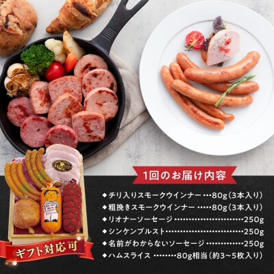 【全12回定期便】こだわり ギフトセット(ハム /ソーセージ/ウインナー) [AAC018]