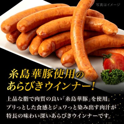 糸島華豚 あらびきポークウインナー 4本×8P(計32本)  [ACA376]