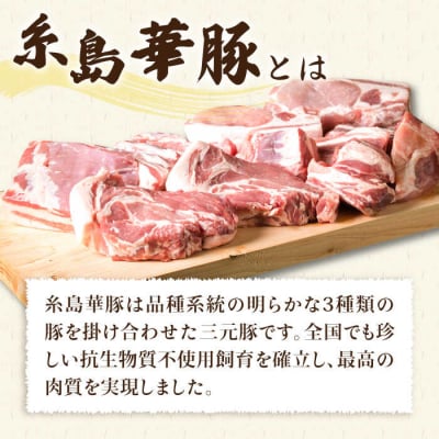 糸島華豚 あらびきポークウインナー 4本×8P(計32本)  [ACA376]