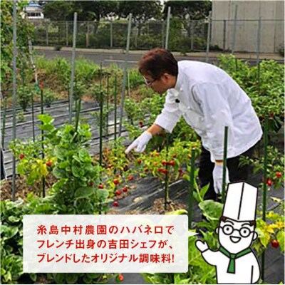 浅漬けの素ハバネロしょうゆ 200ml【シェフのごはんやさん四季彩】[ACC006]