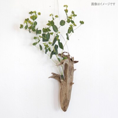 Driftwood FlowerBase 流木一輪挿し フラワーベース  [ADC003]