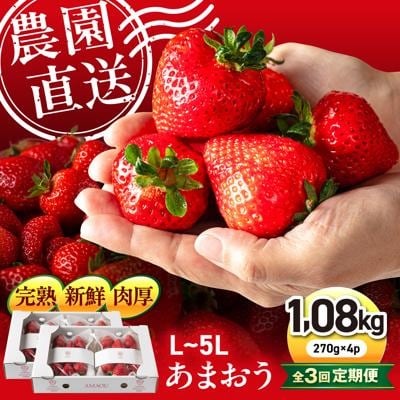 【全3回定期便】糸島 あまおう 270g×4P (A品B品含むL～5L) [ATB011]