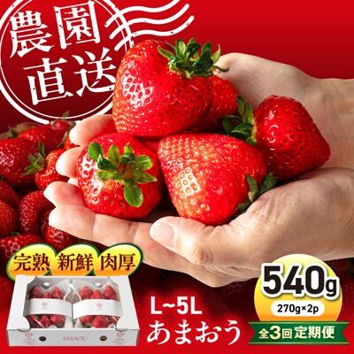【全3回定期便】糸島 あまおう 270g×2P (A品B品含むL～5L) [ATB009]