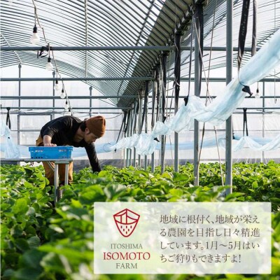 【全3回定期便】糸島 あまおう 270g×2P (A品B品含む3L～5L) [ATB009]