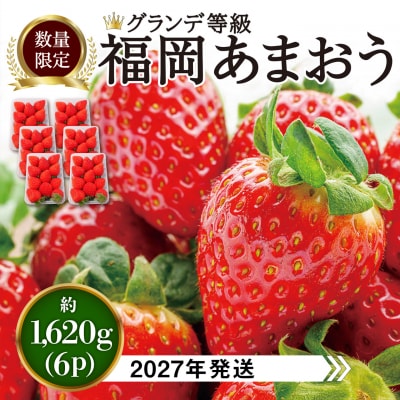 あまおう いちご1,620g (約270g×6パック) [AZL002]