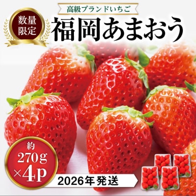 あまおう いちご1,080g (約270g×4パック)【先行受付】 [AZL001]
