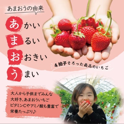 あまおう いちご1,080g (約270g×4パック)【先行受付】 [AZL001]