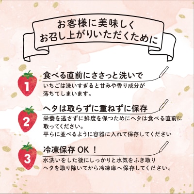 あまおう いちご1,080g (約270g×4パック)【先行受付】 [AZL001]